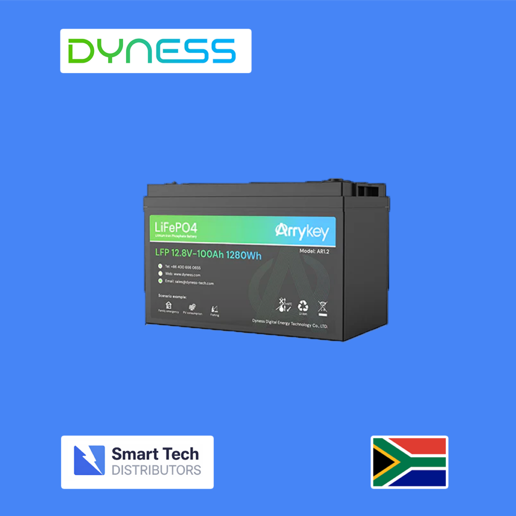 dyness lr1.2