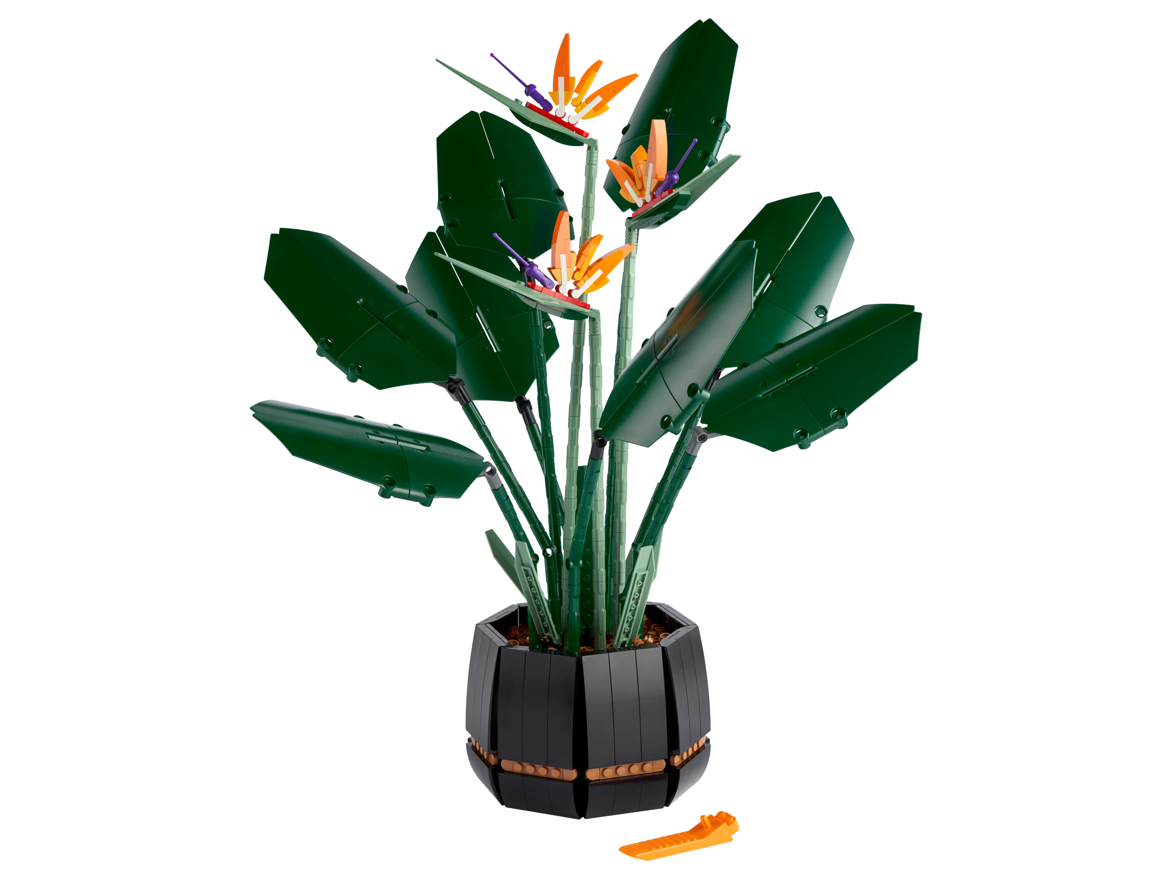 LEGO Icons Bird of Paradise (Set #10289)
