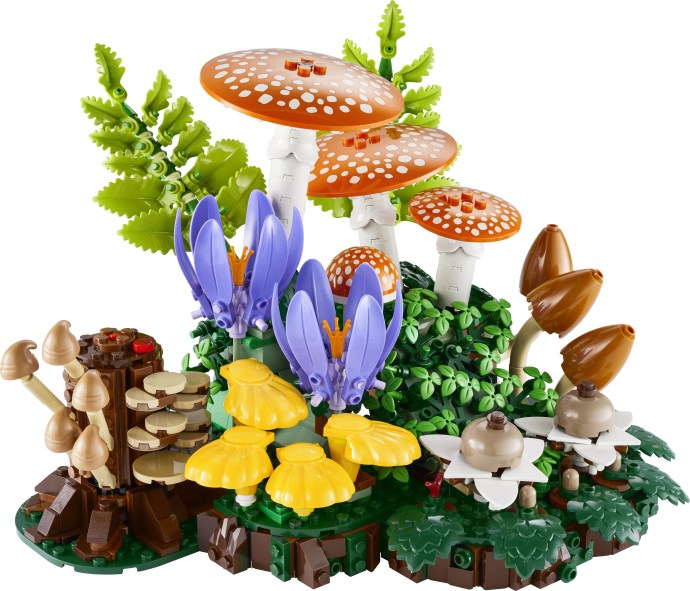 Woodland Mushrooms