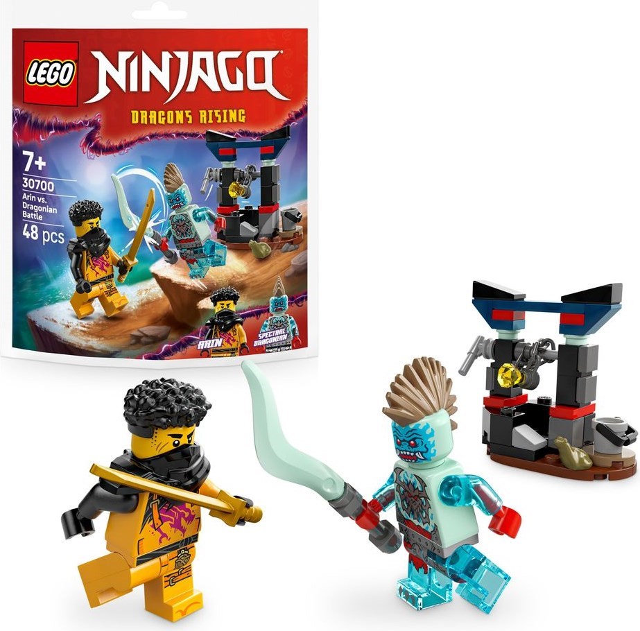 LEGO Mini-Builds Arin Vs. Dragonian Battle (Sold In Case Packs) (Set #30700)