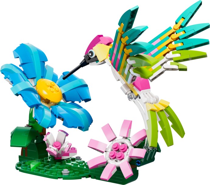 Wild Animals: Colourful Hummingbird