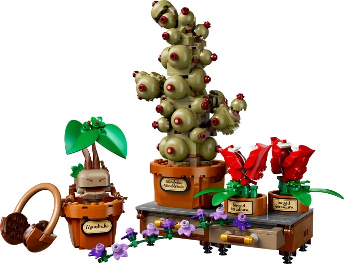 Hogwarts™ Herbology Plants